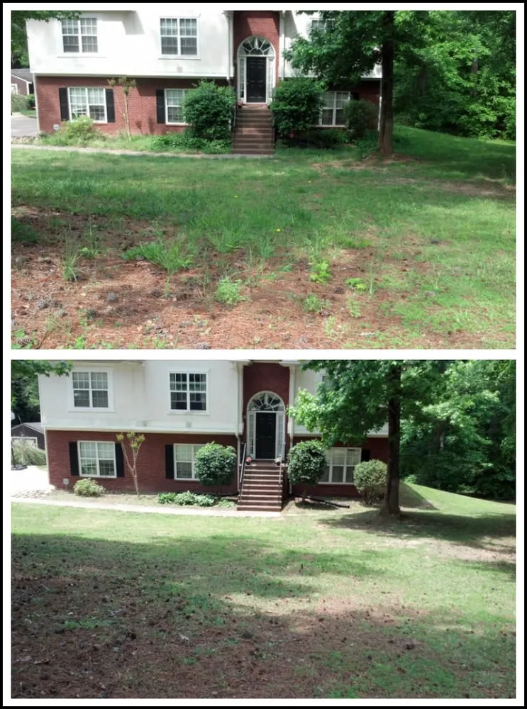 Affordable garden landscaping for year-round maintenance across Newnan, GA - T&J Lawn Service