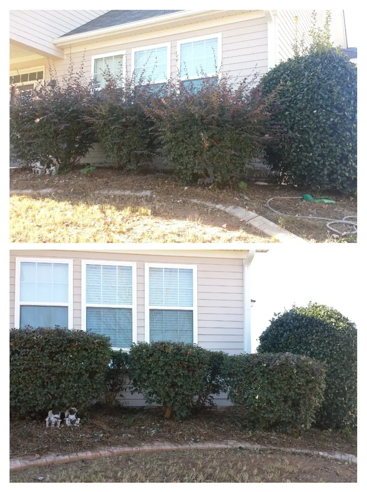 Expert lawn care service for residential properties across Newnan, GA - T&J Lawn Service