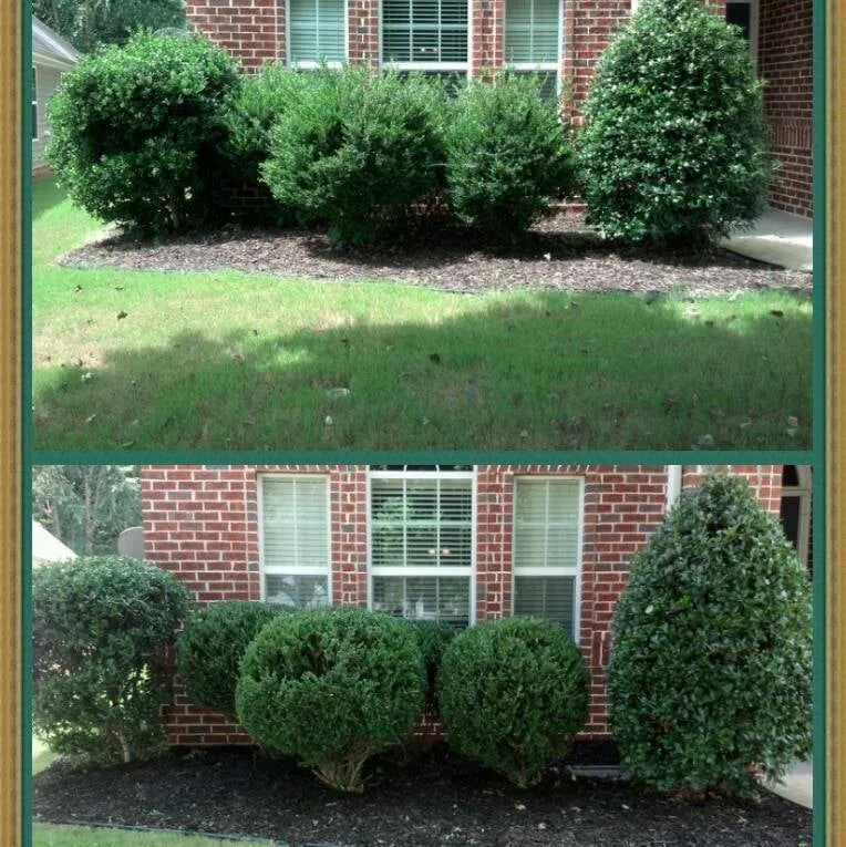Expert lawn care service in Newnan, GA - T&J Lawn Service