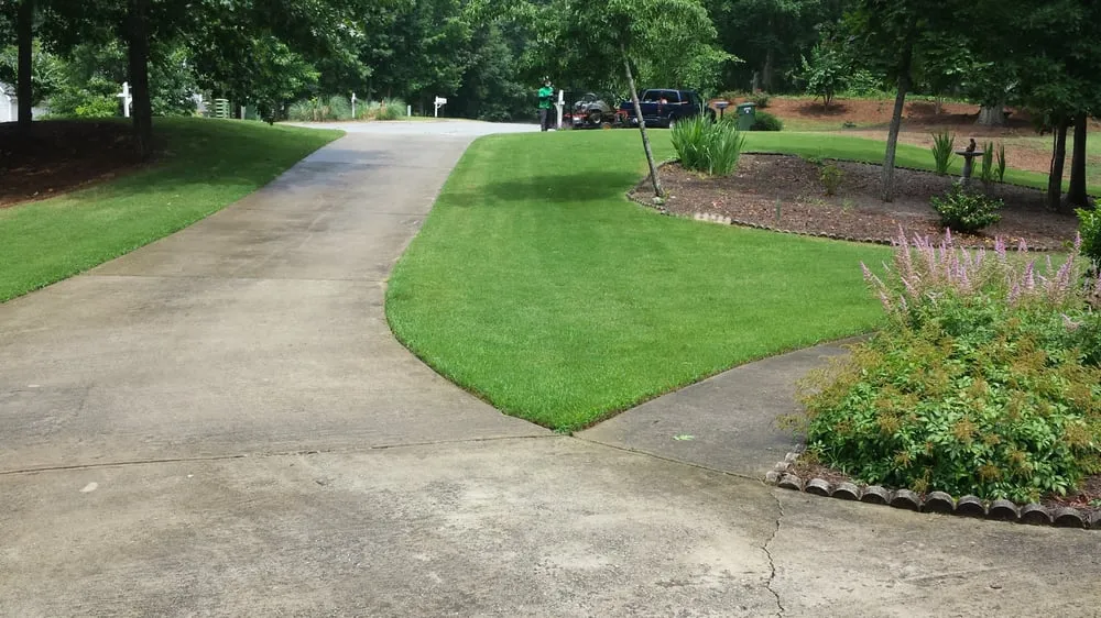Reliable yard cleanup service experts serving Newnan, GA - T&J Lawn Service