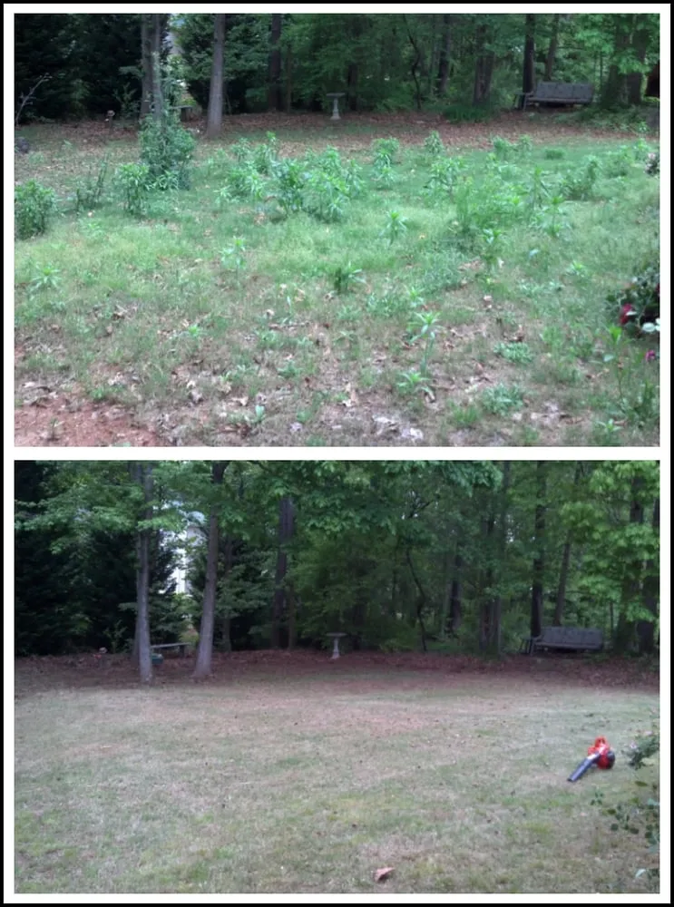 Affordable yard cleanup service for year-round maintenance in Newnan, GA by T&J Lawn Service