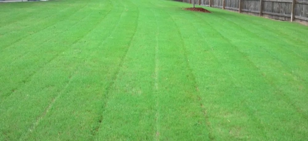 Affordable lawn care service for residential properties in Newnan, GA by T&J Lawn Service