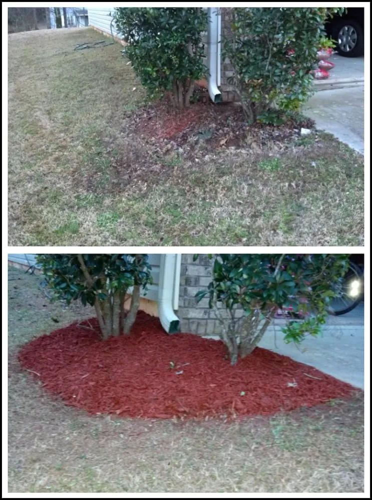 Reliable landscaping services for residential properties across Newnan, GA - T&J Lawn Service