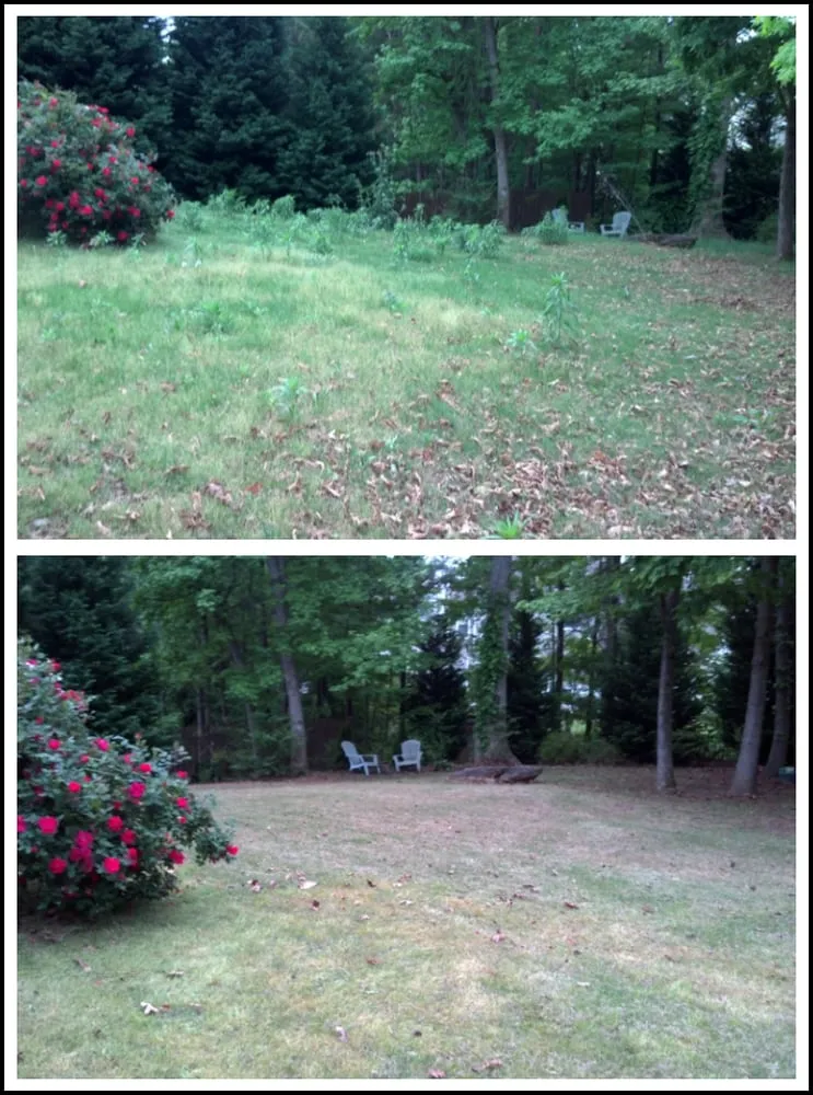 Trusted landscape design near you across Newnan, GA - T&J Lawn Service