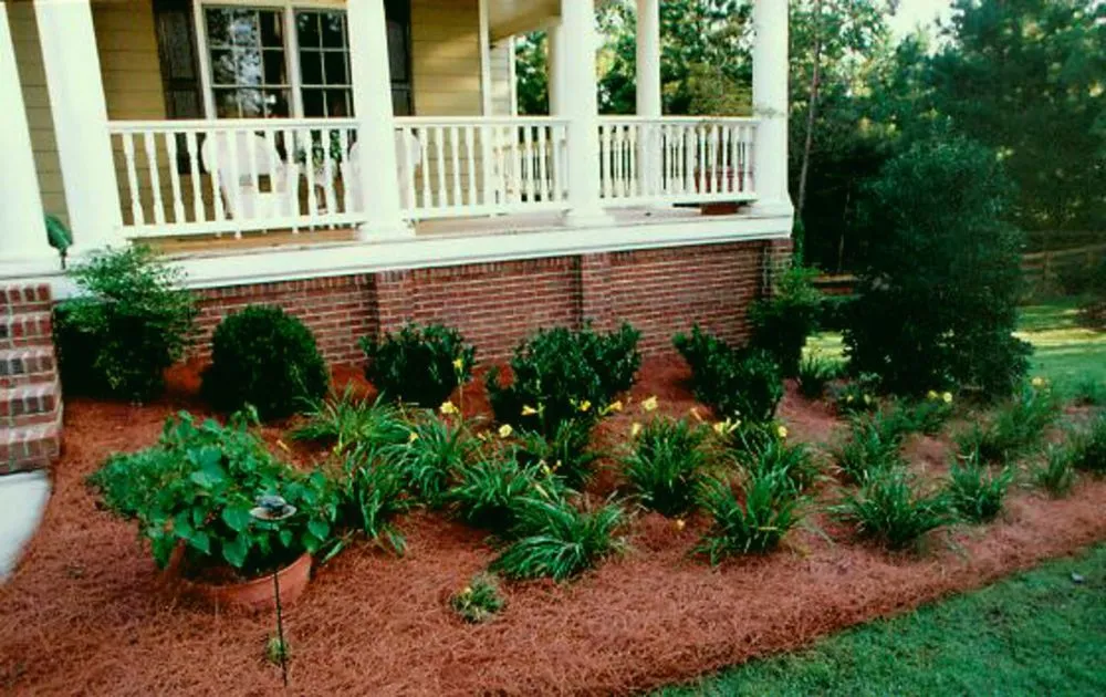 Reliable lawn mowing service with custom design in Newnan, GA by T&J Lawn Service