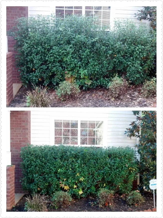 Professional outdoor landscaping with custom design across Newnan, GA - T&J Lawn Service