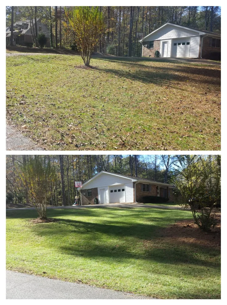 Local yard cleanup service for outdoor upgrades across Newnan, GA - T&J Lawn Service