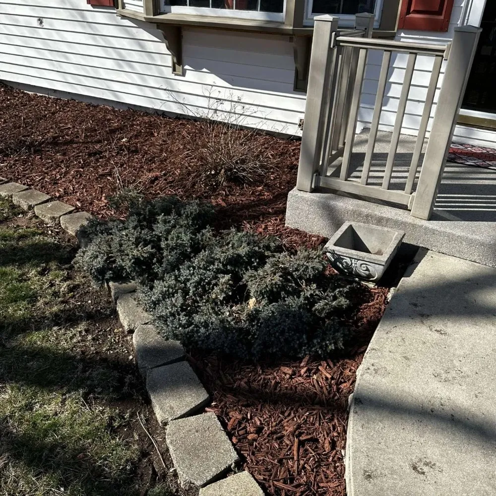 Reliable lawn mowing service in Lacon, IL by TJ Lawncare & Snow Removal