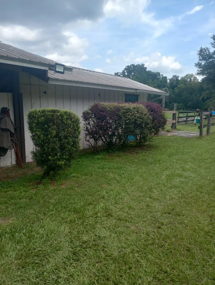 Custom outdoor landscaping in Citra, FL - T&J Lawncare