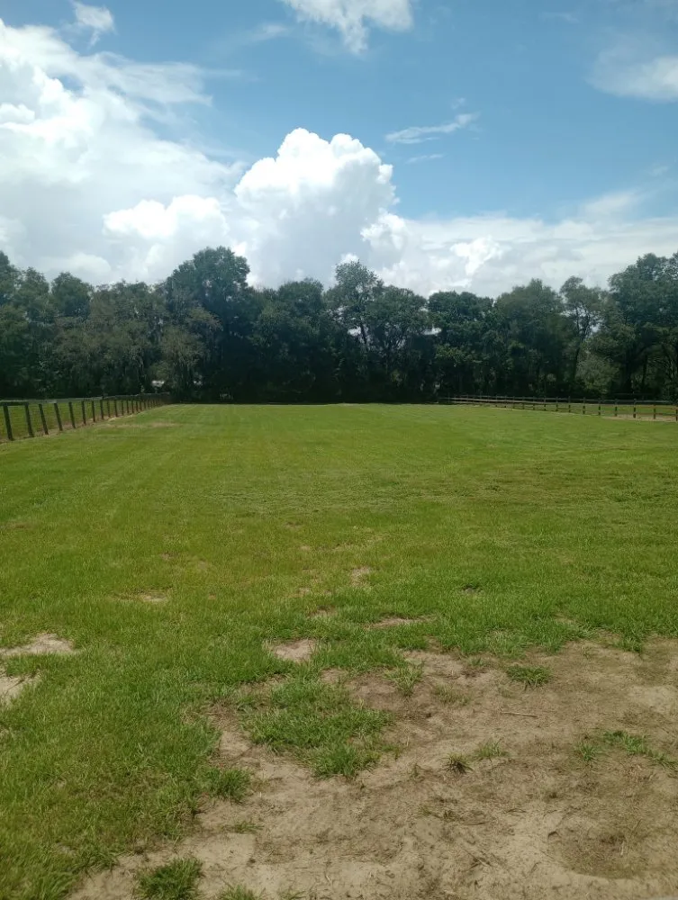 Expert outdoor landscaping in Citra, FL by T&J Lawncare