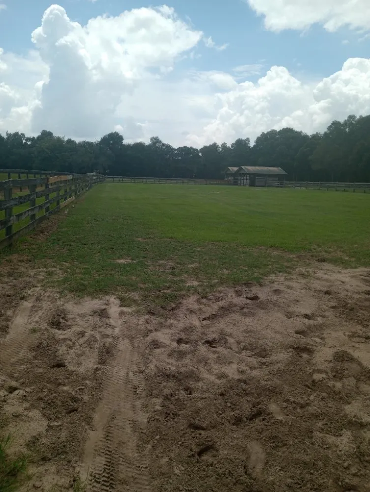 Local residential landscaping in Citra, FL - T&J Lawncare