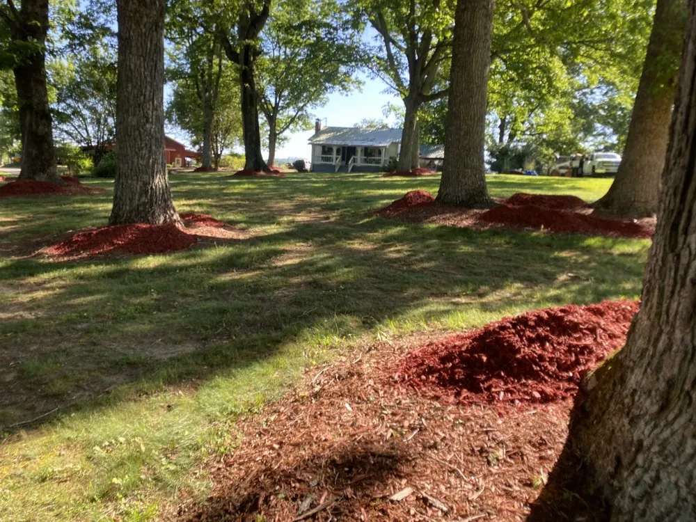 Professional residential landscaping near you in Dalton, GA by TJ Mow Landscaping