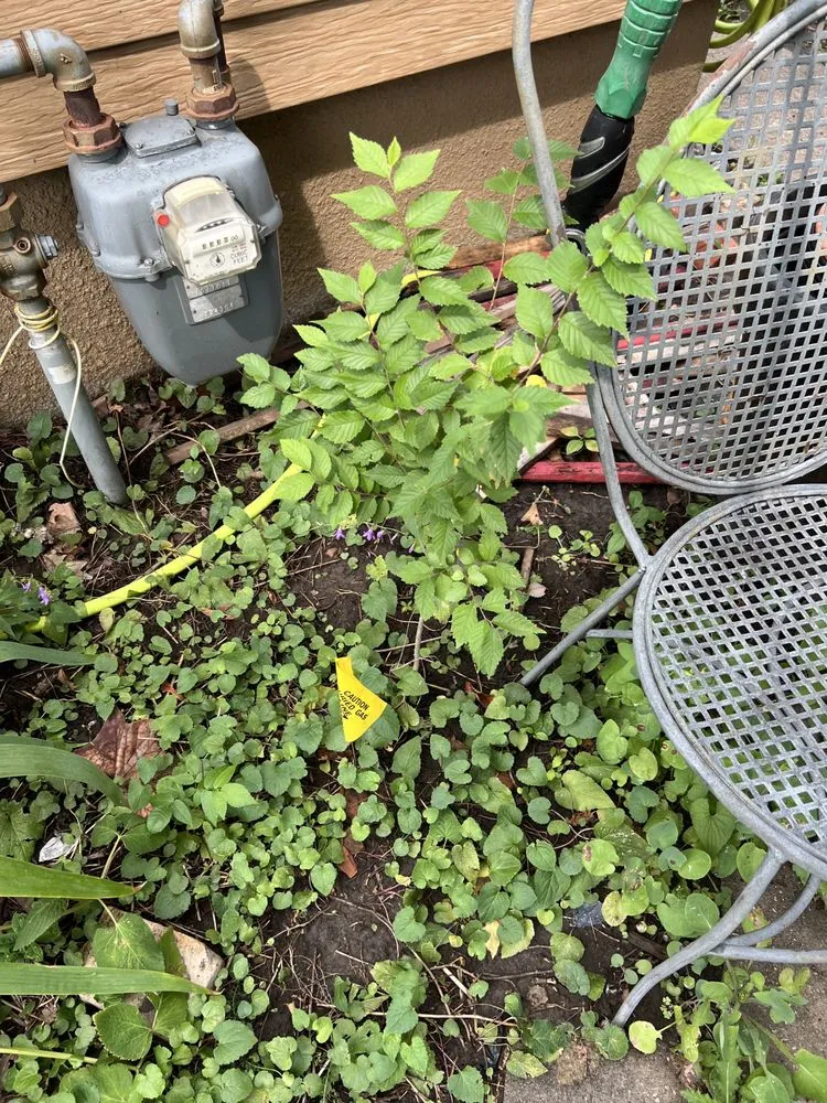 Reliable lawn care service in Bismarck, ND by T&J Outdoor Services