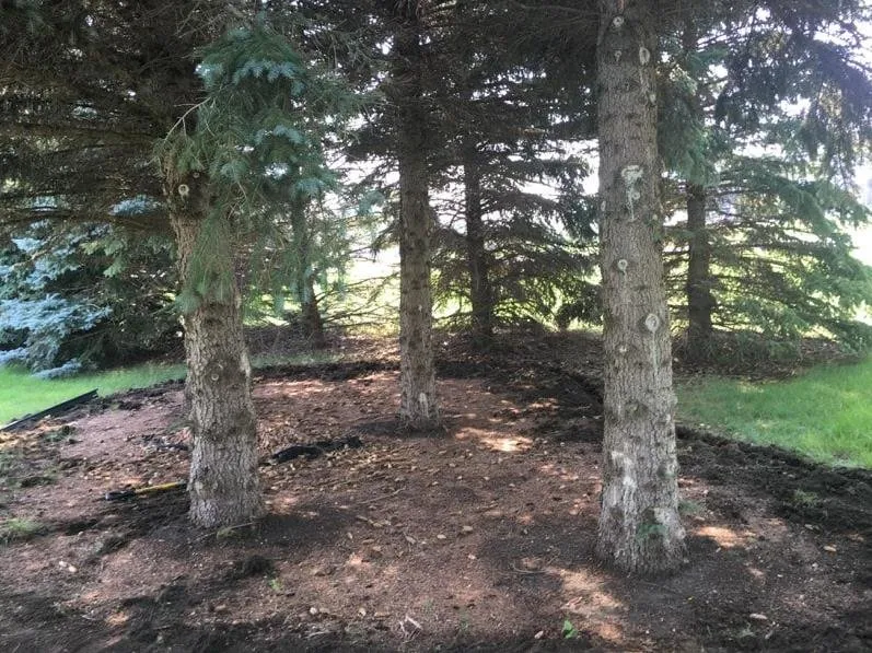 Top-rated lawn care service experts serving Bismarck, ND - T&J Outdoor Services