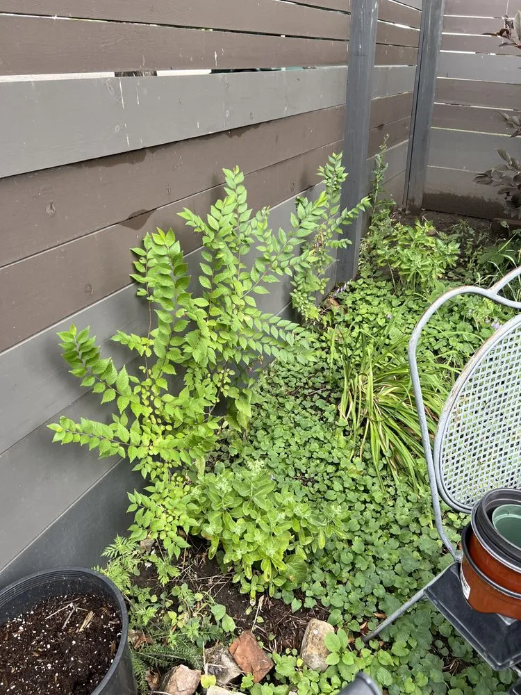 Professional residential landscaping in Bismarck, ND by T&J Outdoor Services