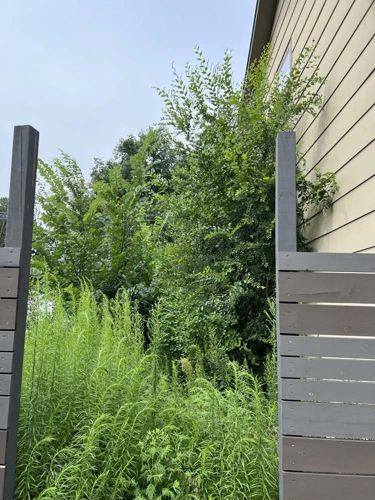 Affordable landscape installation for outdoor upgrades in Bismarck, ND by T&J Outdoor Services