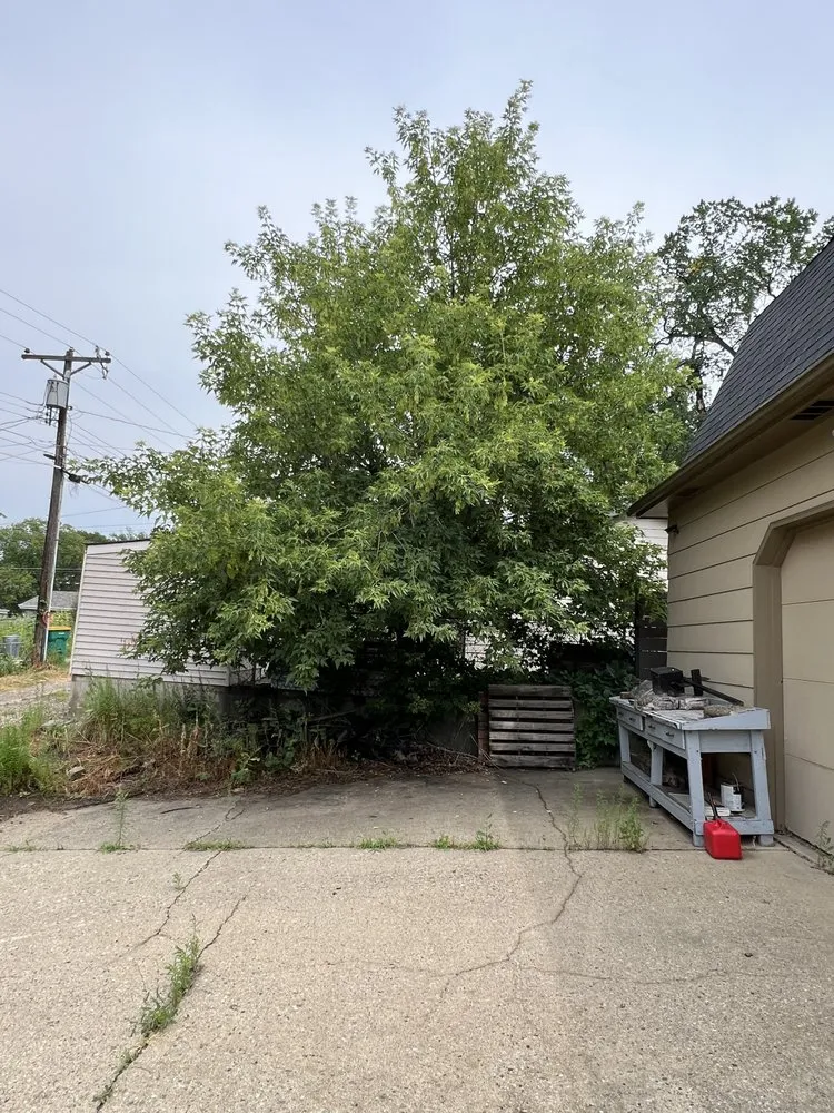 Reliable landscape installation for year-round maintenance across Bismarck, ND - T&J Outdoor Services