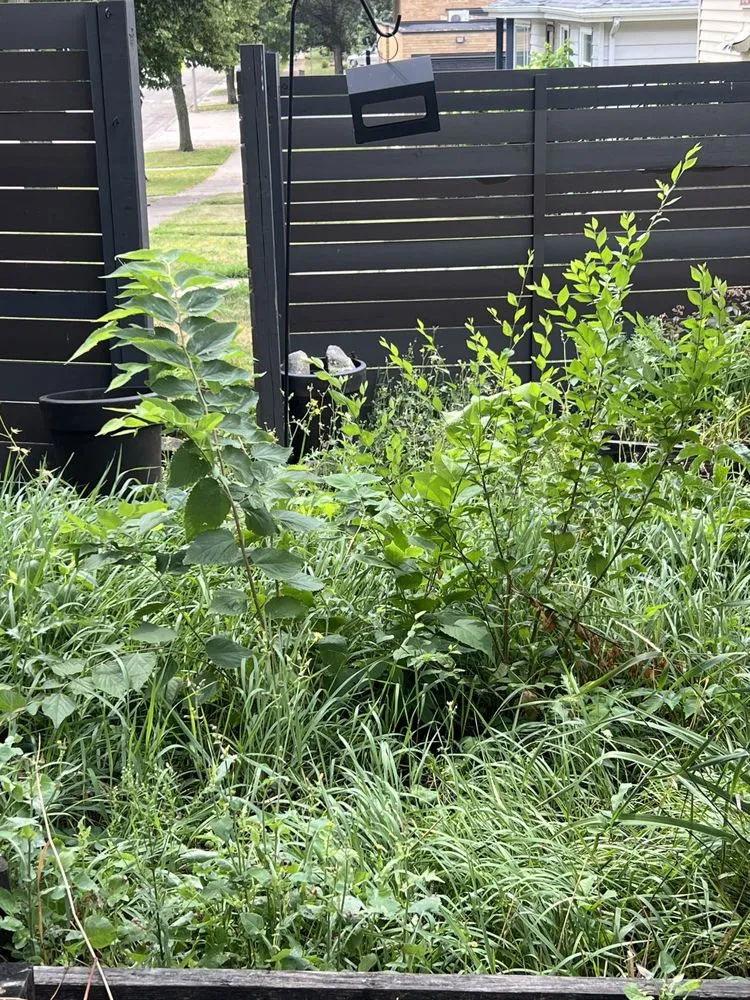 Affordable lawn care service for beautiful yards across Bismarck, ND - T&J Outdoor Services