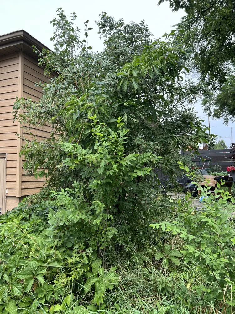 Professional lawn care service in Bismarck, ND by T&J Outdoor Services