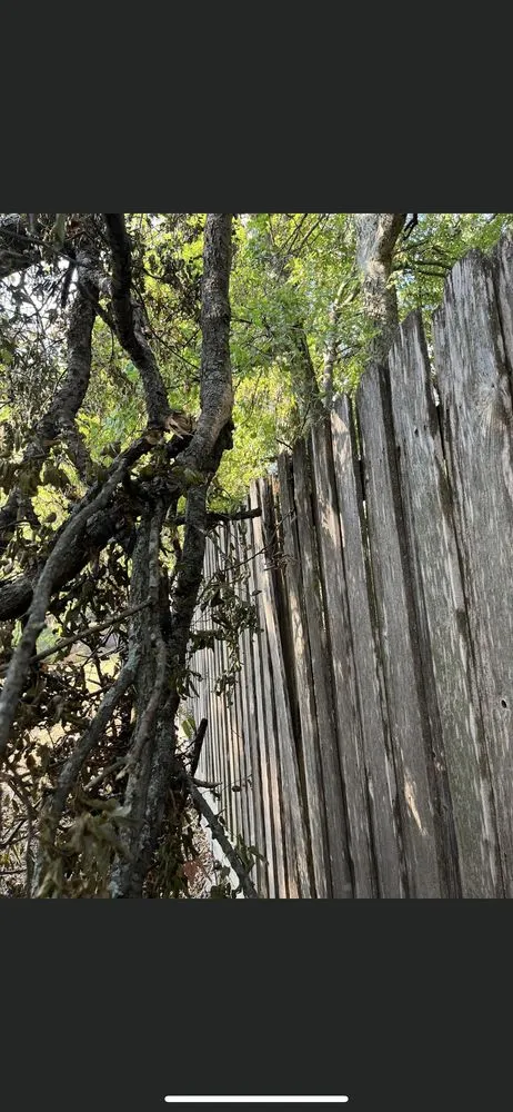 Trusted landscape design in Red Oak, TX - T&J services