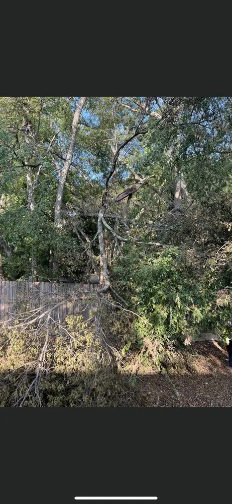 Trusted outdoor landscaping in Red Oak, TX by T&J services