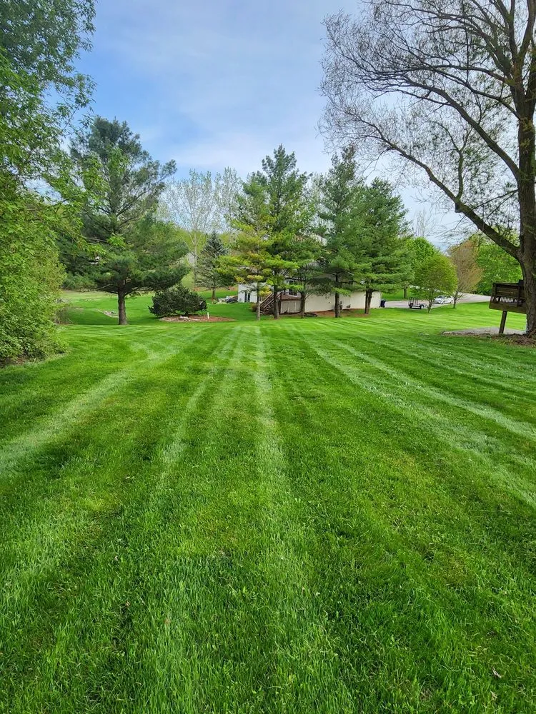 Top-rated lawn care service for year-round maintenance across Jefferson, WI - TJ Zebra Stripes