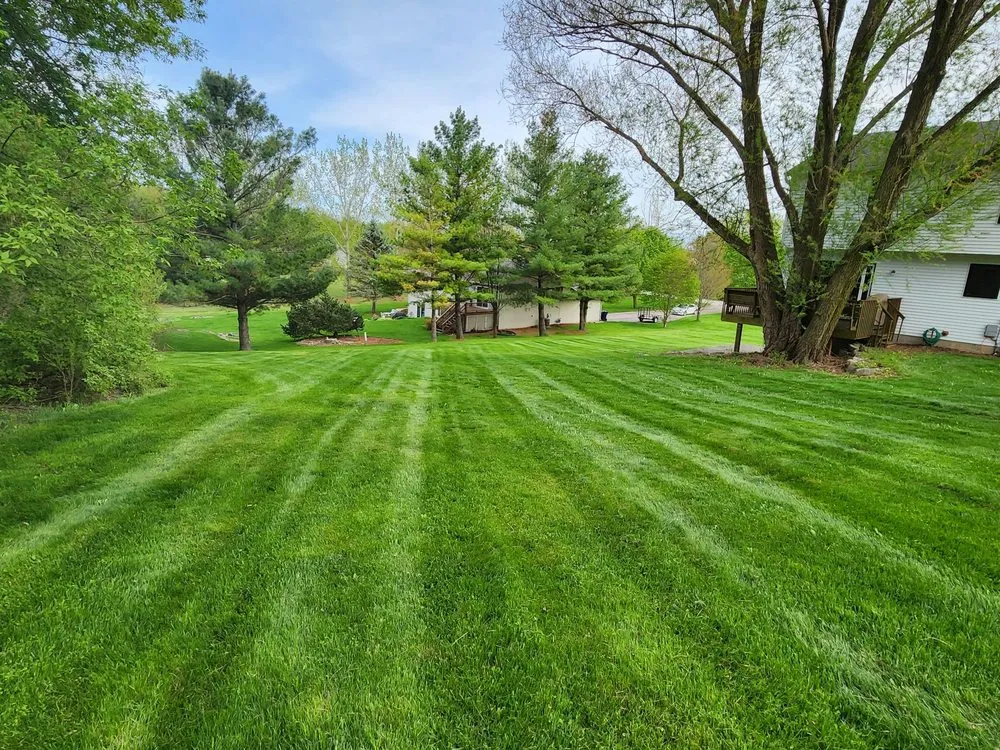 Professional yard cleanup service for outdoor upgrades across Jefferson, WI - TJ Zebra Stripes