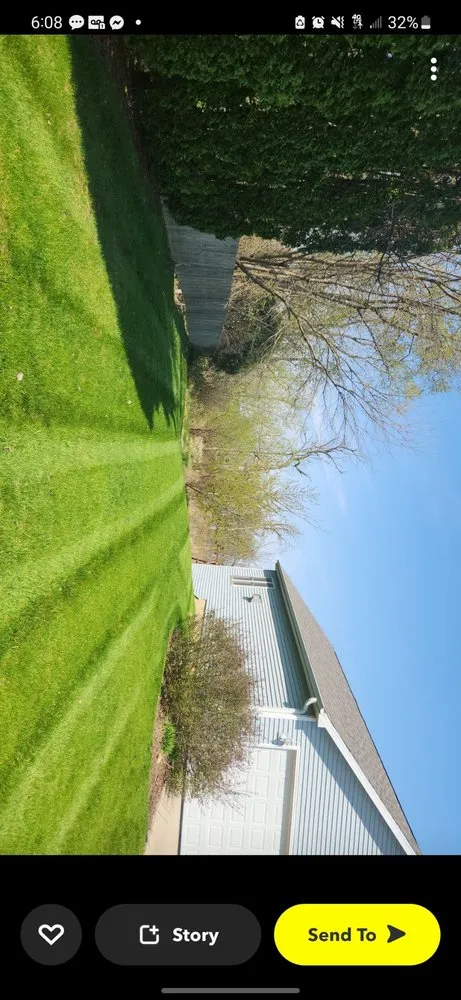 Expert yard cleanup service experts serving Jefferson, WI - TJ Zebra Stripes