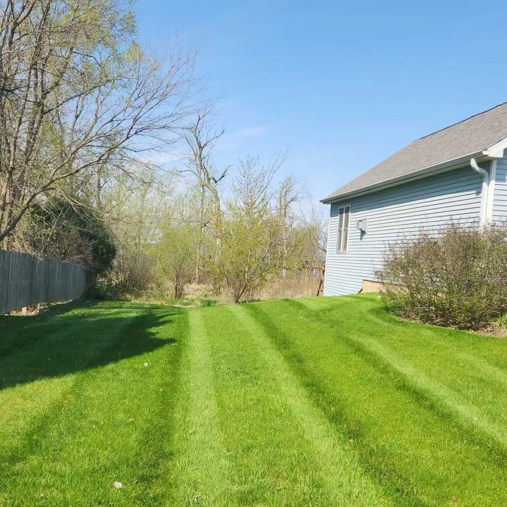 Top-rated yard cleanup service for outdoor upgrades across Jefferson, WI - TJ Zebra Stripes