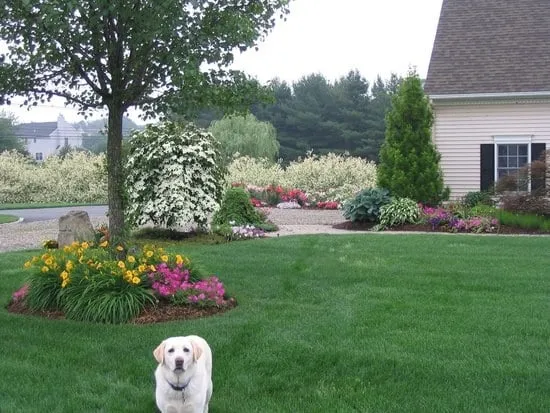 Expert residential landscaping in Hamden, CT - TJB Landscape & Drainage Contractor