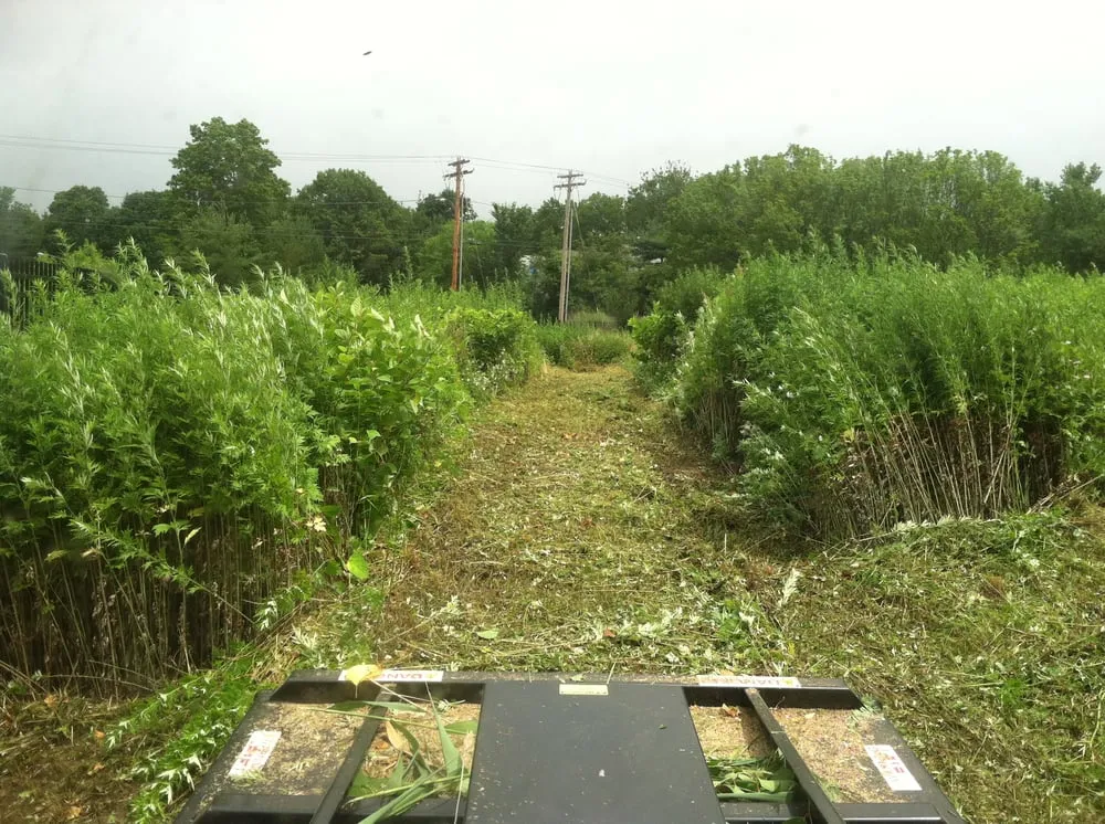 Top-rated outdoor landscaping in Hamden, CT - TJB Landscape & Drainage Contractor