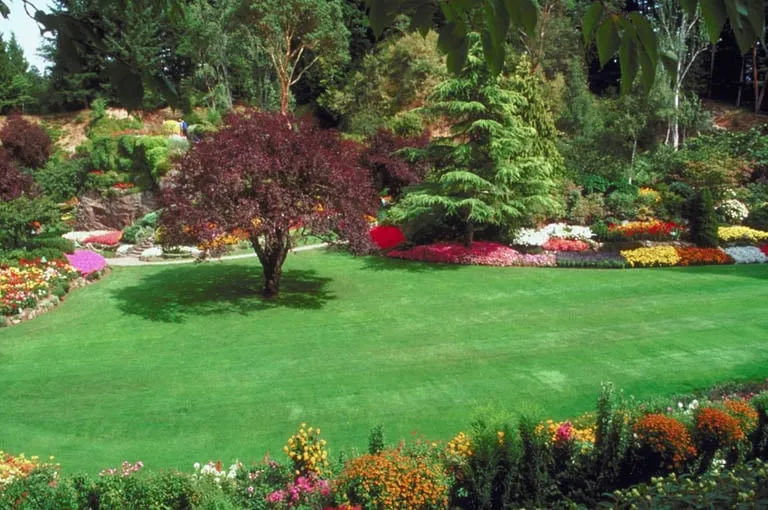 Affordable yard cleanup service in Hamden, CT - TJB Landscape & Drainage Contractor