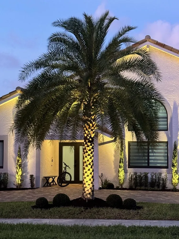 Top-rated outdoor landscaping near you across Davie, FL - Tjc Landscapes and More