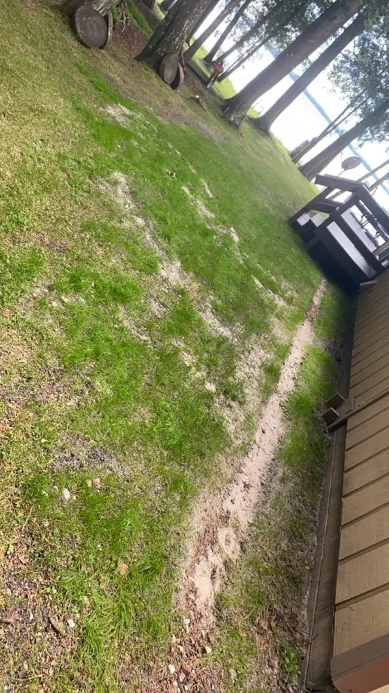 Trusted landscaping services for year-round maintenance across Brevort Township, MI - TJM Enterprise