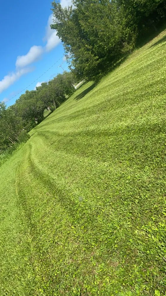 Trusted lawn care service experts serving Brevort Township, MI - TJM Enterprise