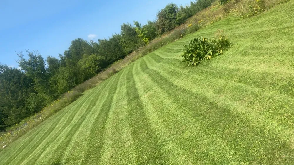 Custom landscaping services for beautiful yards in Brevort Township, MI by TJM Enterprise