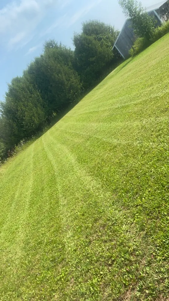 Affordable lawn mowing service with custom design in Brevort Township, MI by TJM Enterprise