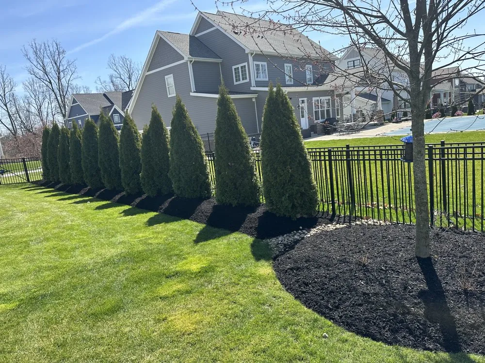 Reliable yard cleanup service in Wexford, PA by TJM Landscaping