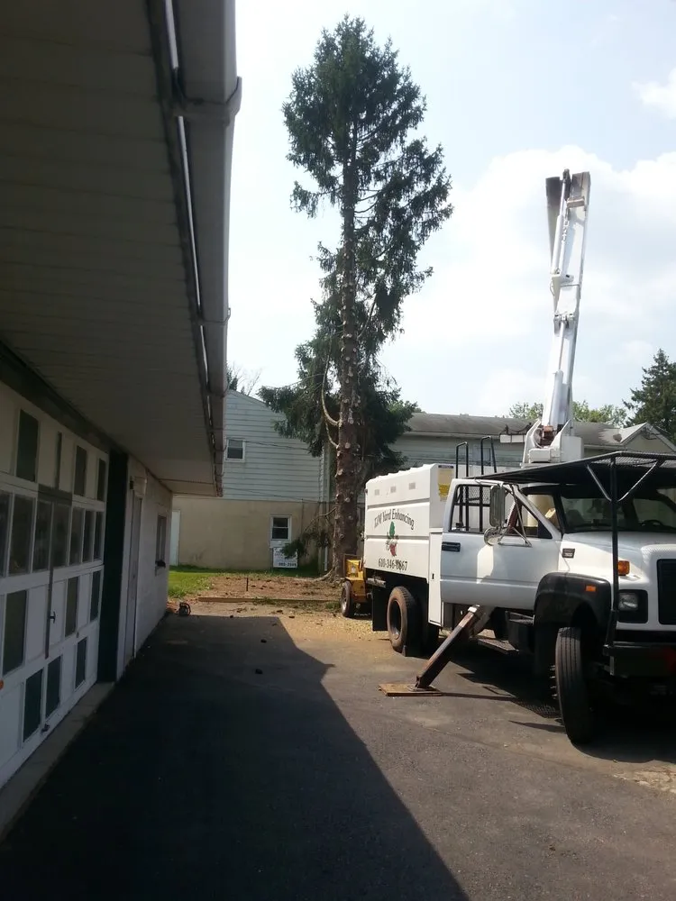 Expert yard cleanup service for beautiful yards in Coopersburg, PA by TJM Yard Enhancing