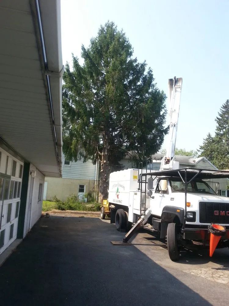 Affordable landscape installation experts serving Coopersburg, PA - TJM Yard Enhancing