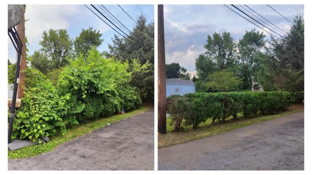 Trusted outdoor landscaping experts serving Harrisburg, PA - TJ's All You Need