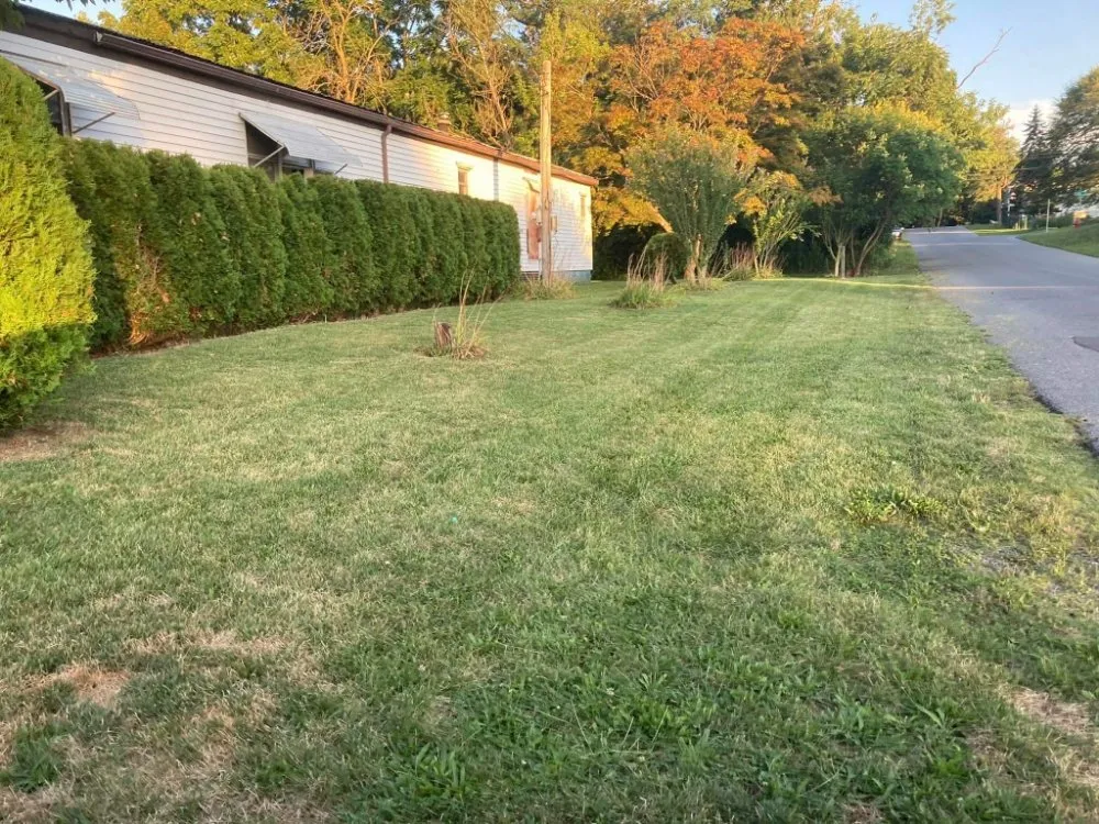 Trusted yard maintenance for homes across Harrisburg, PA - TJ's All You Need