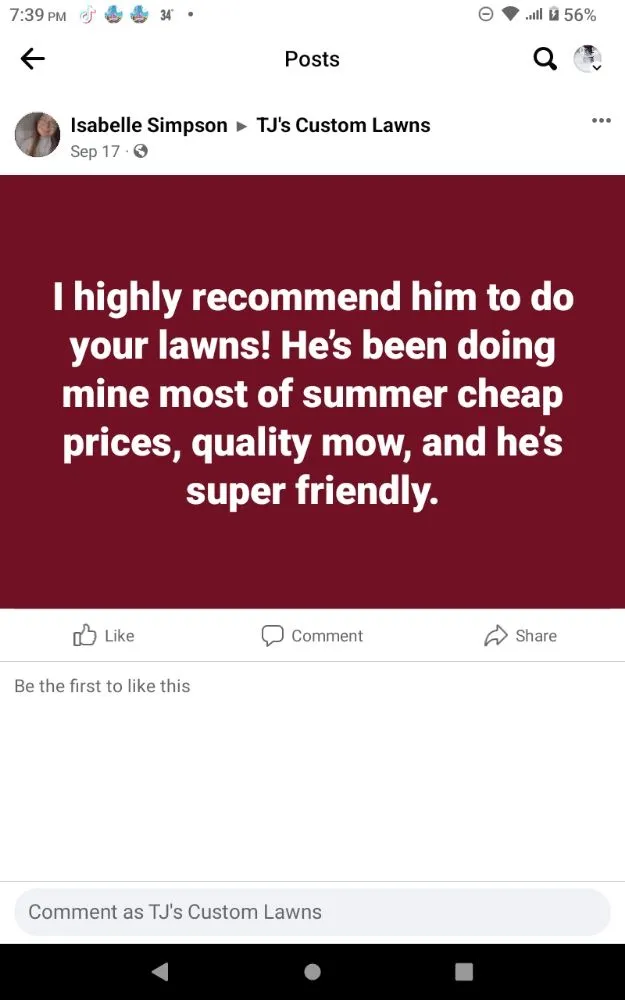 Top-rated yard cleanup service for beautiful yards in Ovid, MI by TJ's Custom Lawns