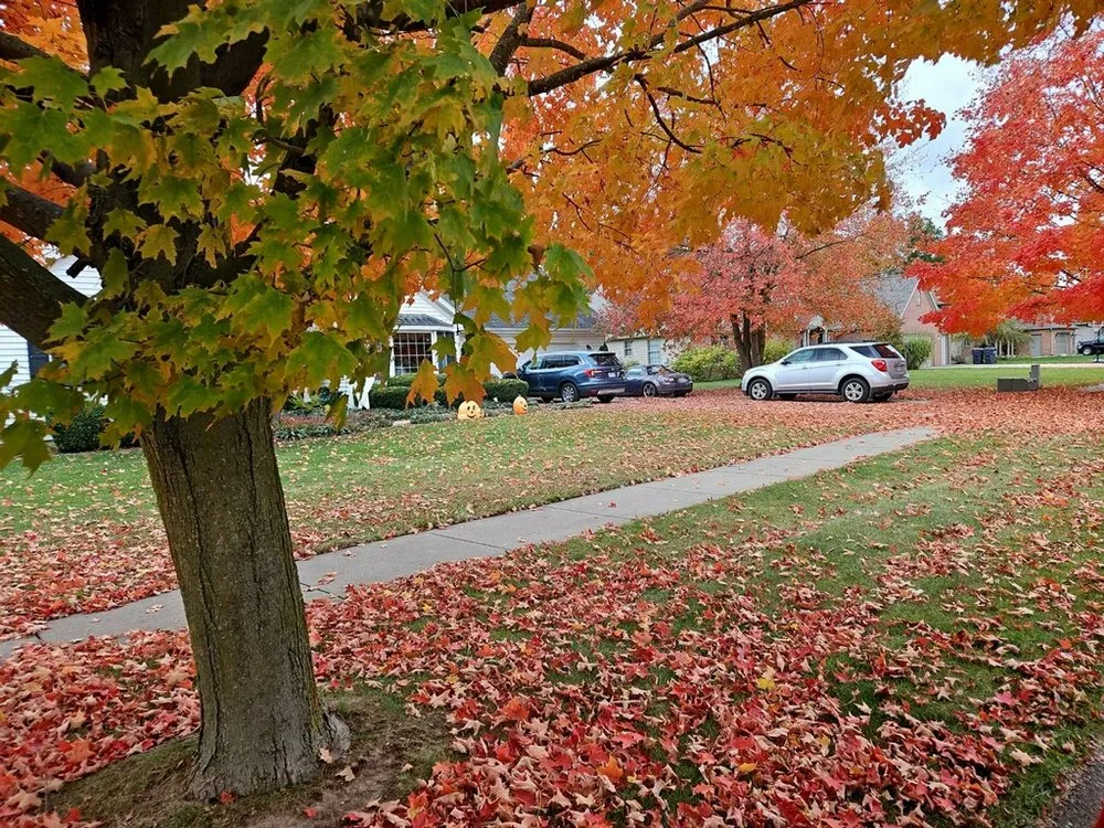 Top-rated residential landscaping in Three Rivers, MI - TJ's Custom Outdoor Services