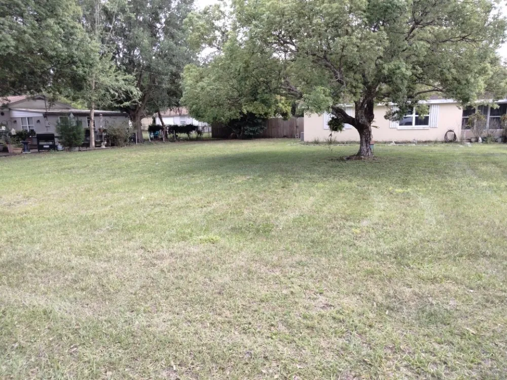 Reliable lawn mowing service in Ormond Beach, FL - Tj's Cut Above