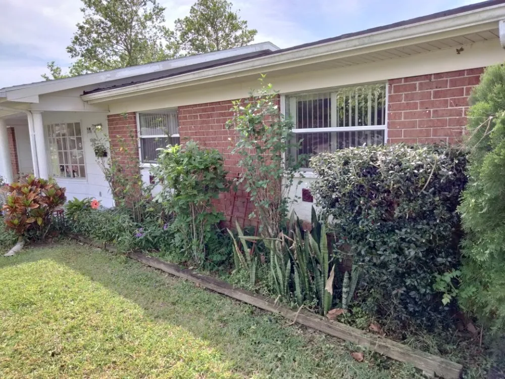 Expert yard maintenance in Ormond Beach, FL - Tj's Cut Above