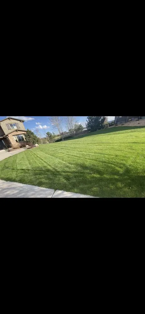 Expert landscape installation in Denver, CO by Tj’s Full Property Maintenance