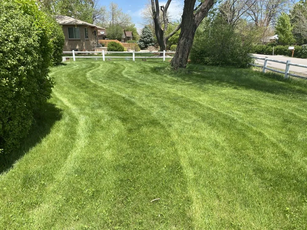 Expert landscape installation near you in Denver, CO by Tj’s Full Property Maintenance