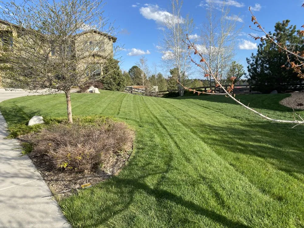 Trusted landscape design with custom design in Denver, CO by Tj’s Full Property Maintenance