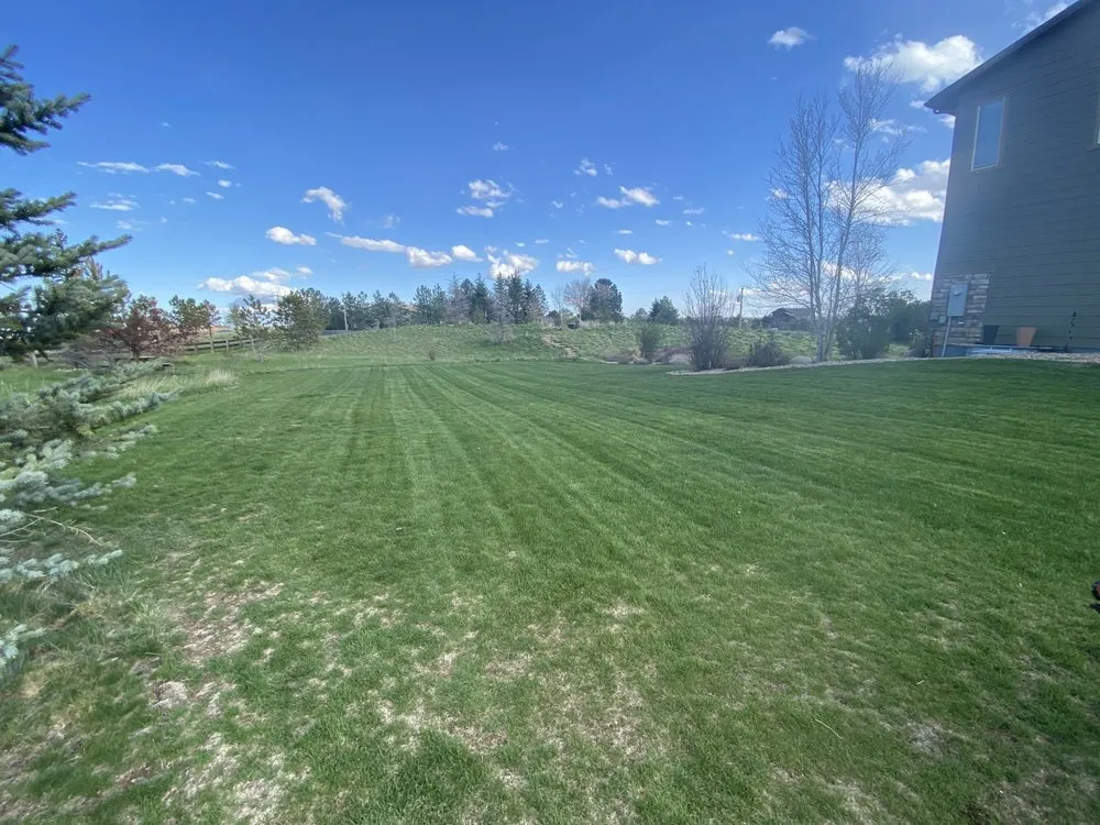 Custom lawn care service with custom design across Denver, CO - Tj’s Full Property Maintenance